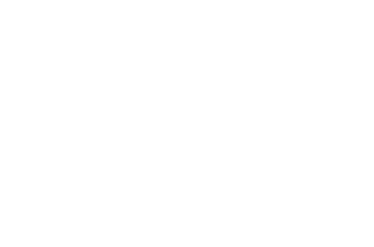 Quadleaf Logo